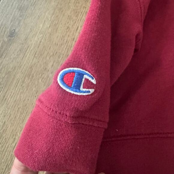 Champion FSU Florida State Zip Up Hoodie - Picture 3 of 5